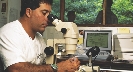 Photograph of a man looking into a microscope