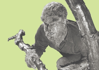 Lon Chaney, Jr., in full Wolf Man makeup.