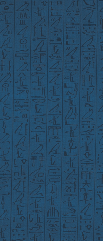 Photograph of Egyptian hieroglyphics on a wall