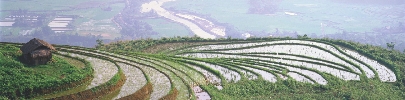 Photograph of Korean countyside