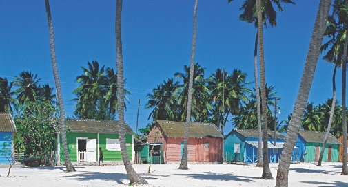 Photograph of homes in the Dominican Republic on a beach with palm trees