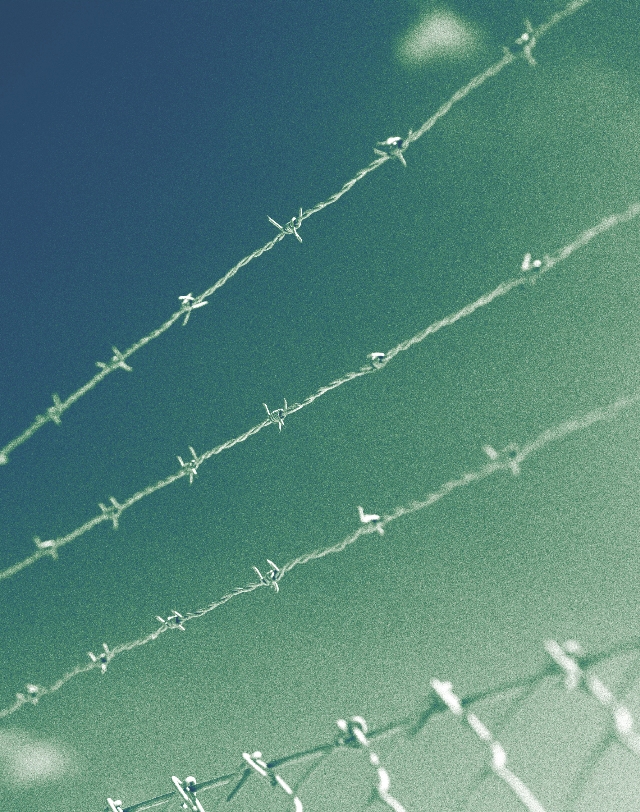 Photograph of barbed wire above a chain-link fence