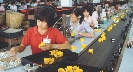 Photograph of women working at an assembly line