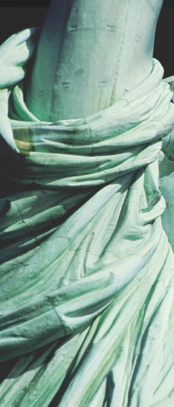 Photograph of the Statue of Liberty on the selection's title page
