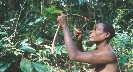 Photograph of a man in a jungle with a bow and arrow