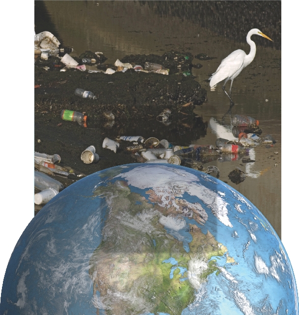 Photograph of a snowy egret walking through water with litter in it